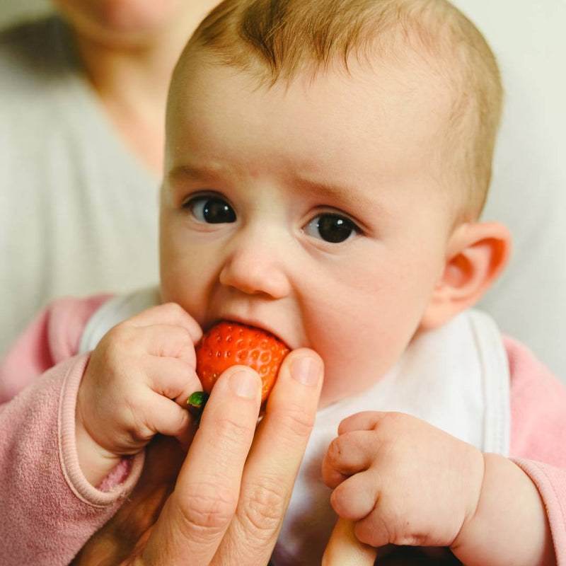 Baby starting solids by trying a strawberry for the first time