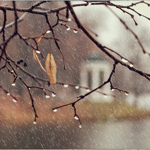 Winter Activity Ideas