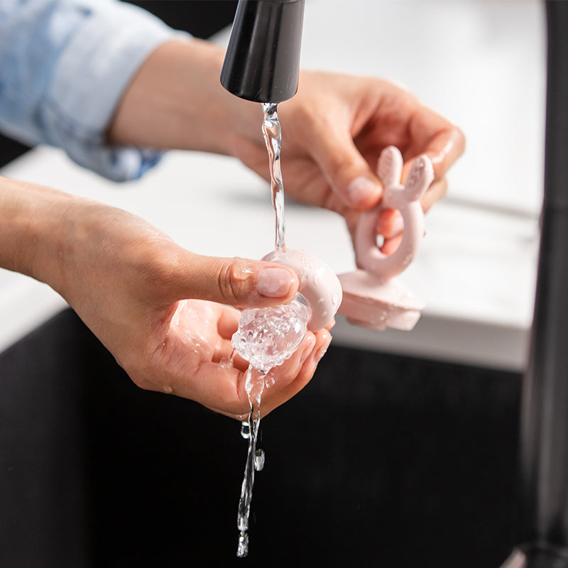 Fresh Food Feeder Mini Combo