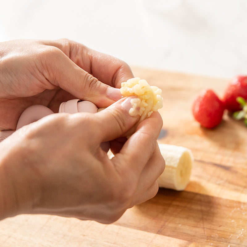 Fresh Food Feeder Mini Combo